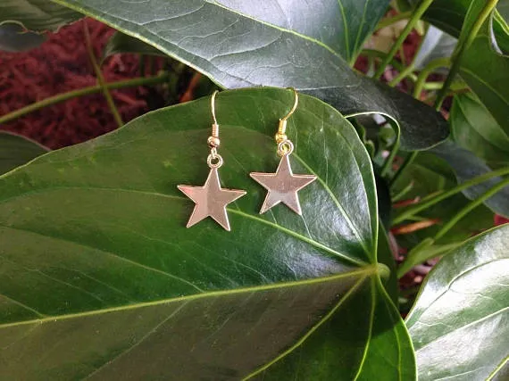 Star Earrings